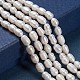Natural Cultured Freshwater Pearl Beads Strands PEAR-L001-02-2