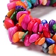 Natural Shell Beads Strands X-SSHEL-I025-A01-3