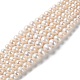 Natural Pearl Beads Strands PEAR-E018-67-1