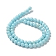 Natural Howlite Beads Strands G-E604-B02-A-3