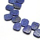 Natural Lapis Lazuli Beads Strands G-L168-04-1