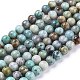 Natural Chrysocolla Beads Strands G-R477-6mm-1