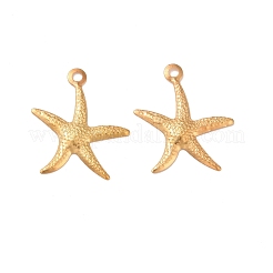 Eisen Anhänger & Charms&nbsp;IFIN-I030-10G