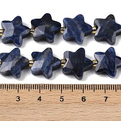 Natur Sodalith Perlen Stränge&nbsp;G-P573-C10-01