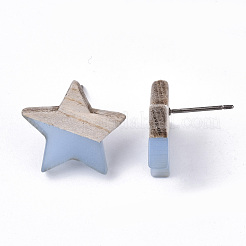Orecchini a bottone in resina trasparente e legno&nbsp;EJEW-N017-001A-D01