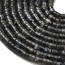 Natürliche Larvikit-Perlenstränge&nbsp;G-Z110-A05-2x4mm