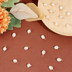 Kit de recherche de fabrication de bijoux de bricolage&nbsp;FIND-HY0003-32