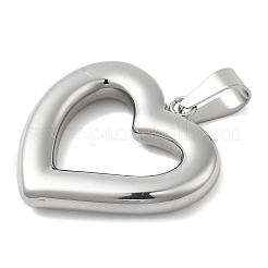 Pendentifs en acier inoxydable 304&nbsp;STAS-D110-43P