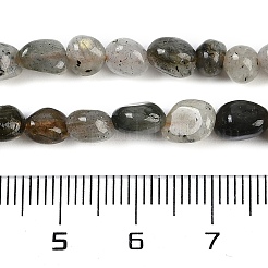 Natur Labradorit Perlen Stränge&nbsp;G-P497-01B-03