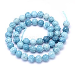 Fili di perline di gemstone naturale&nbsp;X-G-L367-01-4mm