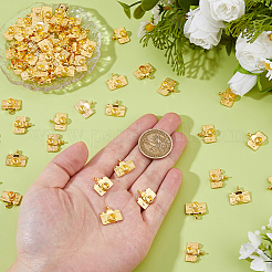 70 pièces pendentifs en alliage&nbsp;FIND-DC0007-95G