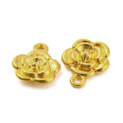 Pendentifs en alliage&nbsp;FIND-G065-15G