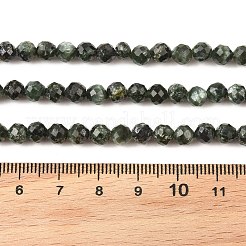 Perles naturelles SERAPHINITE brins&nbsp;G-K376-A02-5mm