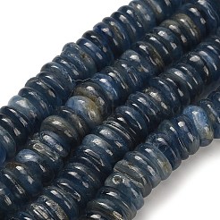 Natürliche kyanite Perlen Stränge&nbsp;G-H335-G01-10mm