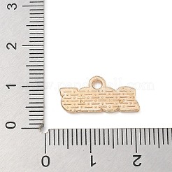 Pendentifs d'émail en alliage&nbsp;ENAM-A008-13KCG-02