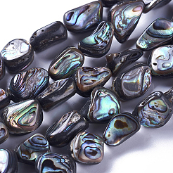 1 hebra de cuentas de concha de abulón natural/concha de paua&nbsp;SSHEL-PA0001-03
