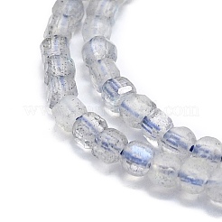 Natur Labradorit Perlen Stränge&nbsp;G-P457-B01-19