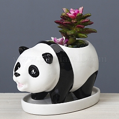 Graziosi vasi per piante succulente a forma di panda&nbsp;PW22053089103