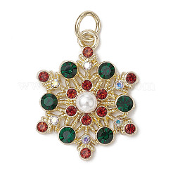 Pendentifs en alliage&nbsp;PALLOY-JF02967