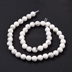 Fili di perline howlite naturale&nbsp;G-E571-29B