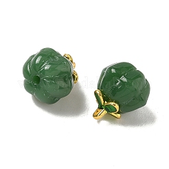 Glas Anhänger / charms&nbsp;GLAA-P072-04G-08