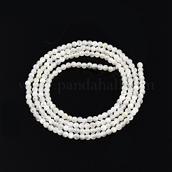 Natürliche weiße Muschelperlenstränge&nbsp;X-SSHEL-N003-144A-01