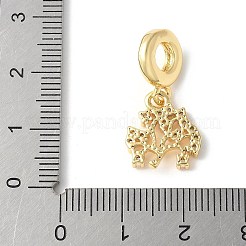 Charms pendenti europei in ottone con micro pavé di zirconi cubici&nbsp;ZIRC-I071-22G-02