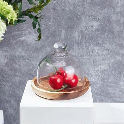 Vitrines à dôme cloche à dessert/gâteau en verre transparent&nbsp;ODIS-WH0029-30