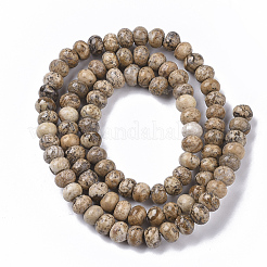 Picture naturale perline di diaspro fili&nbsp;G-S364-045