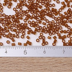 Miyuki Delica Perlen&nbsp;X-SEED-J020-DB0709