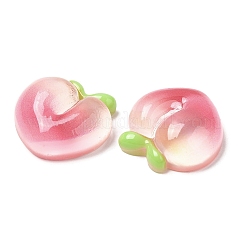 Cabochons de fruits en résine translucide&nbsp;RESI-G072-03B