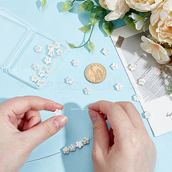 26 Stück 26 Stile natürliche weiße Muschelblumenperlen&nbsp;BSHE-PH0001-60