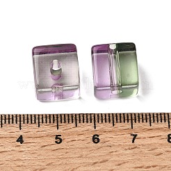 Zweifarbige transparente Acrylperlen&nbsp;TACR-C002-03