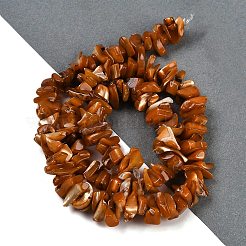Shell perle naturali fili&nbsp;SHEL-K009-10