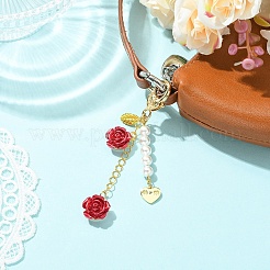Decorazioni pendenti in resina&nbsp;HJEW-YW00437