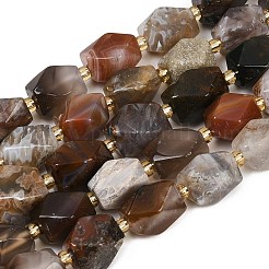 Botswana agata naturale perline fili&nbsp;G-P611-B01-01