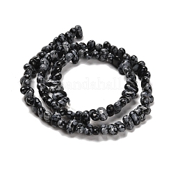 Naturschneeflocke Obsidian Perlen Stränge&nbsp;G-Q167-B22-01