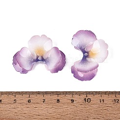 Tappi per perline acrilici termoretraibili&nbsp;OACR-N164-17