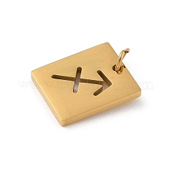 Anhänger aus 304 Edelstahl&nbsp;LS-STAS-R001-03G-09