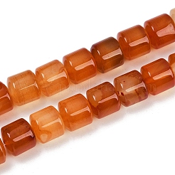 Fili di perline agata rosso naturale&nbsp;G-G275-D06-10x10mm