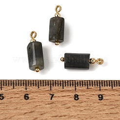 Pendentifs en larvikite naturelle&nbsp;GG-CBACE45-02G-04