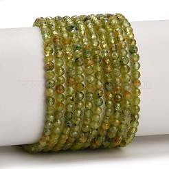Natürlichen Peridot Perlen Stränge&nbsp;GG-CBA753B-A04-3mm