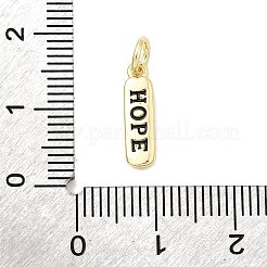 Breloques d'émail en laiton&nbsp;KK-P338-01G-E01