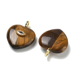 Pendentifs en œil de tigre naturel&nbsp;G-P585-03G-14