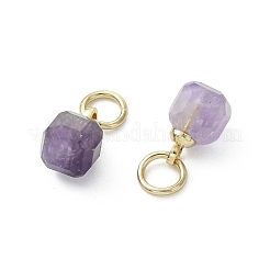 Natürlichen Amethyst Edelsteinanhänger&nbsp;PALLOY-JF05300-02