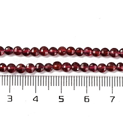 Natürlicher Granat Perlen Stränge&nbsp;X-G-F770-B02-01