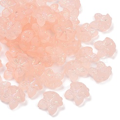 Smerigliato perline acriliche trasparenti&nbsp;OACR-P029-18B-02