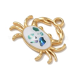 Pendentifs en acier inoxydable 304&nbsp;SA-CBACF51-02G