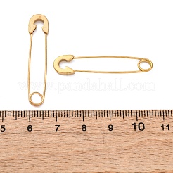 Ionenplattierung (IP) 304 Edelstahl-Ohrhänger&nbsp;EJEW-F254-01G
