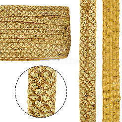 12.5 Yard elastische Paillettenbesätze aus Polyester&nbsp;OCOR-AR0001-75C